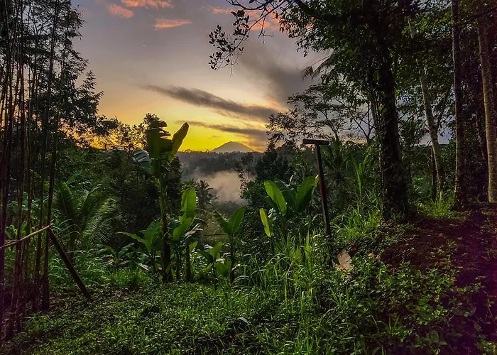 Delta Casa Ubud - A-frame Jungle Retreat With Volcano View And Hot-tubs * Payangan