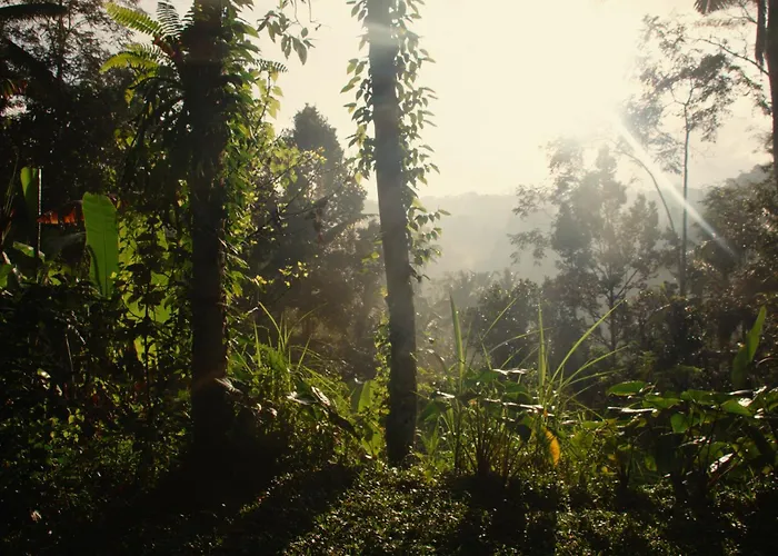 Villa Delta Casa Ubud - A-frame Jungle Retreat With Volcano View And Hot-tubs *