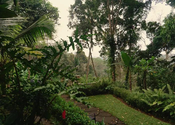 Delta Casa Ubud - A-frame Jungle Retreat With Volcano View And Hot-tubs *